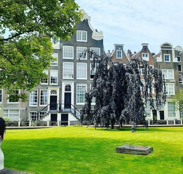 Netherlands: Amsterdam, photo 4 of 4