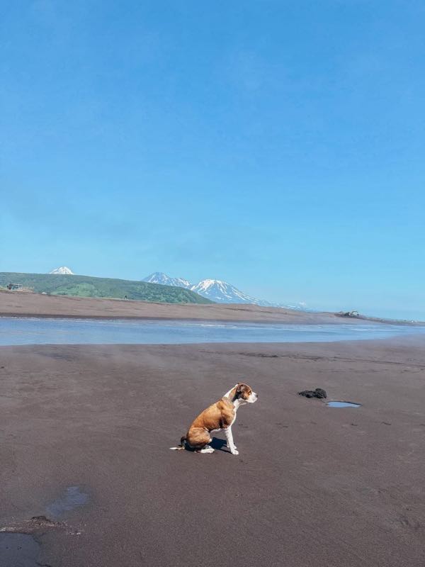 Kamchatka, photo 5 of 8